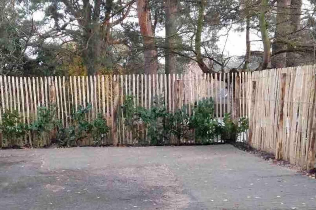 Ferienwohnung Green Garden Berlin Eksteriør bilde